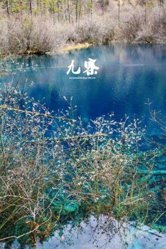 88影视