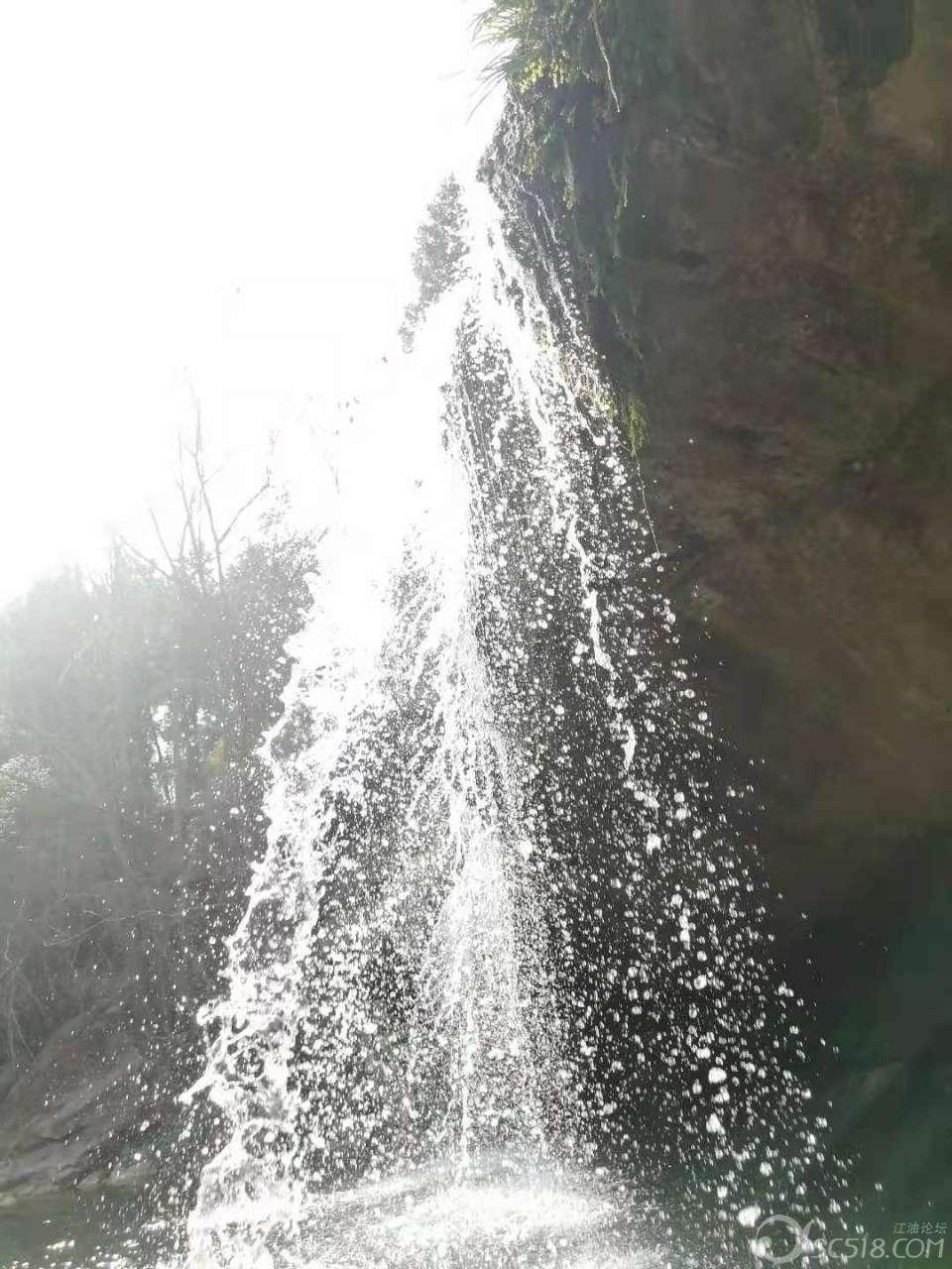 春雨直播app
