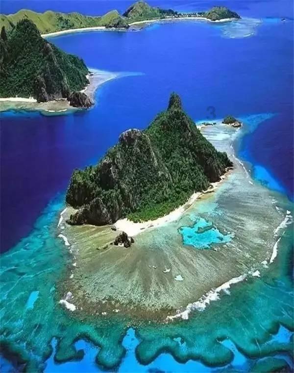虫虫助手下载
