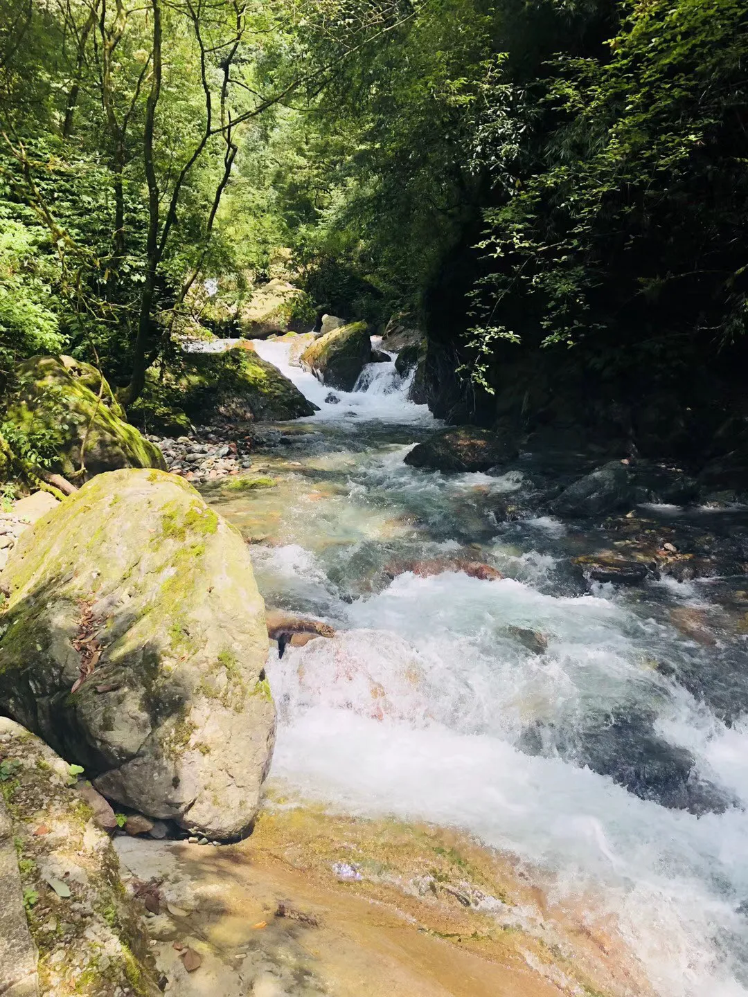精灵格蕾