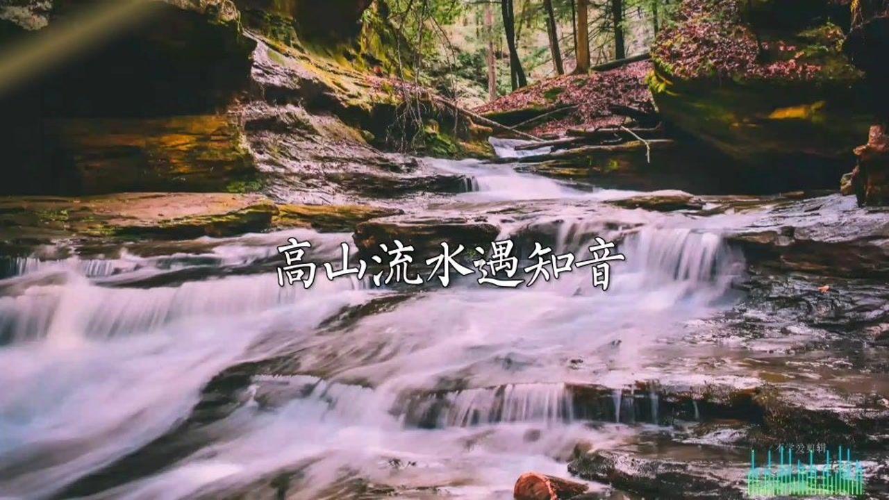 国家魔法森林逃亡