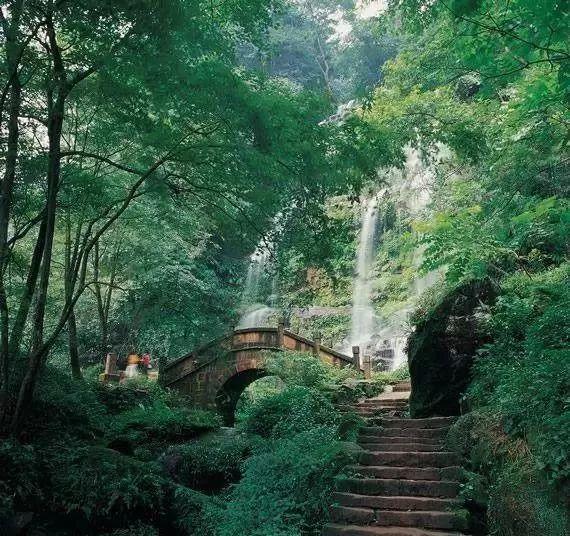逃离可爱村落