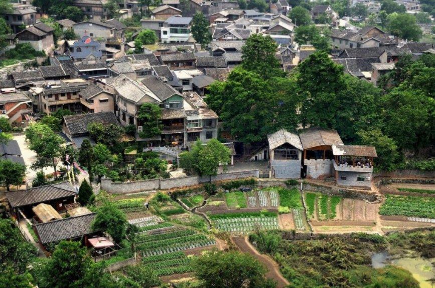 爱申活暖心春 | 你感受到了吗？新春味渐浓，满城“龙”景，快来看看→