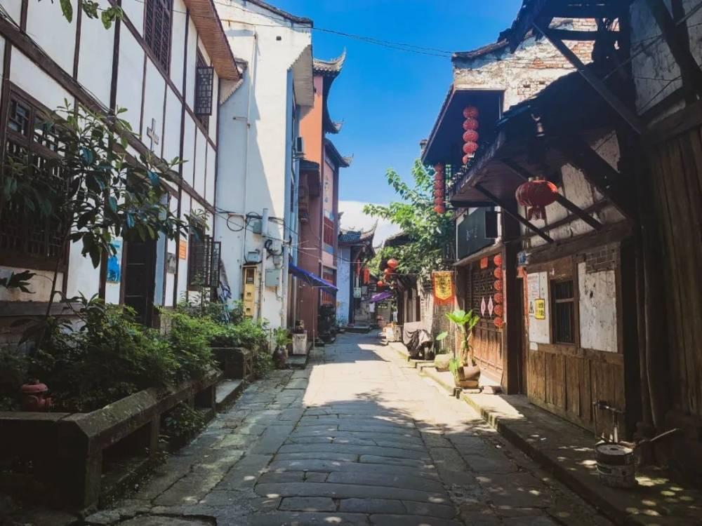 口袋森林世界杯防守战